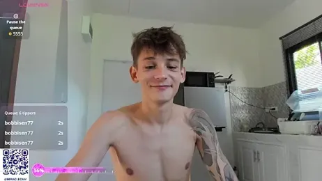 MiracleCam webcam model stream image