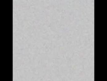 pantslesstraveler_plt webcam model stream image