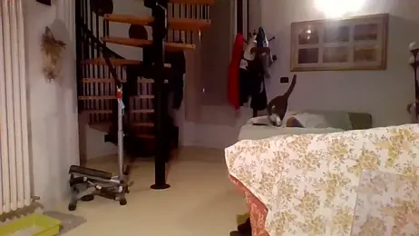 woww791 webcam model stream image