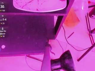 kendall-hornye webcam model stream image