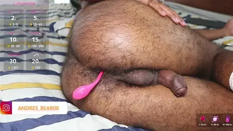 Little_Bear00 webcam model stream image