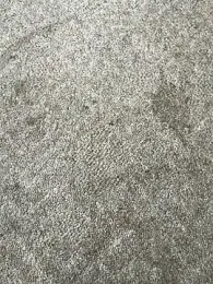 RealJustHavingFun webcam stripchat model stream image