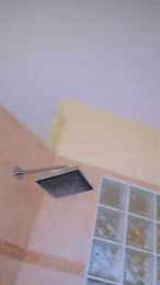 AlyCapone webcam model stream image