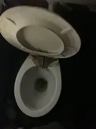 cutie_for_Beauty____ webcam stripchat model stream image