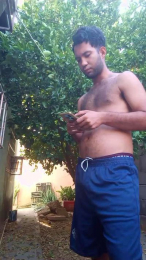 aly_pig_hot webcam model stream image