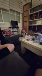 Isisytomy webcam model stream image