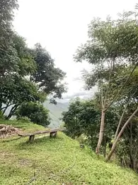 sky-wolves webcam stripchat model stream image