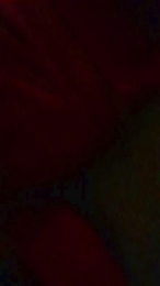 MermaidNTiger webcam model stream image