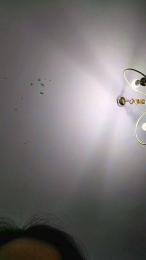 kittenhorny webcam model stream image