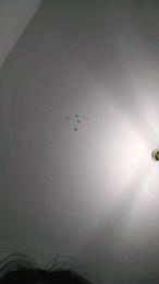 kittenhorny webcam model stream image