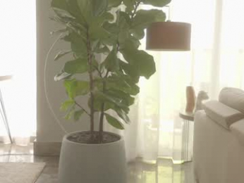 emma_lu1 chaturbate stream image