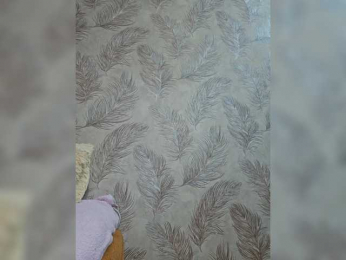 EditaMilf bongacams stream image