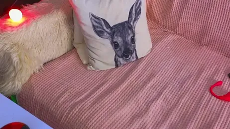 frankiefoxie_ stripchat stream image