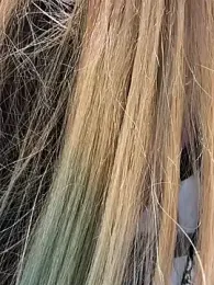 tinker_exotic_1 stripchat stream image