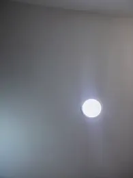 carolina__star stripchat stream image