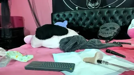 EVILYN stripchat stream image