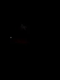 DAELAA stripchat stream image