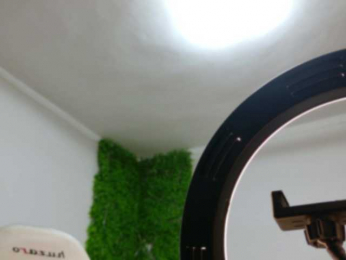 EmilyxJames bongacams stream image