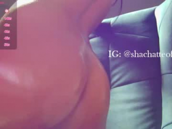 shachatte chaturbate stream image