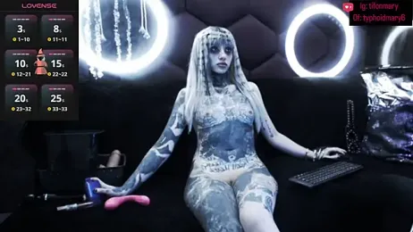 TyphoidMary stripchat stream image