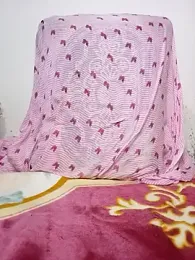 dandilaa stripchat stream image