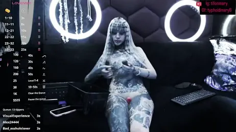 TyphoidMary stripchat stream image