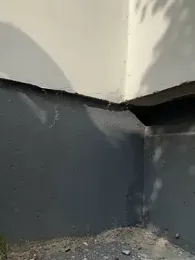 shy_priincess stripchat stream image