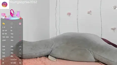 YoungSophie stripchat stream image