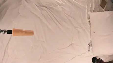 HollyTaillor stripchat stream image