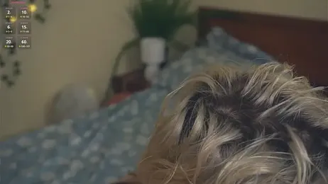 EngelAlman stripchat stream image