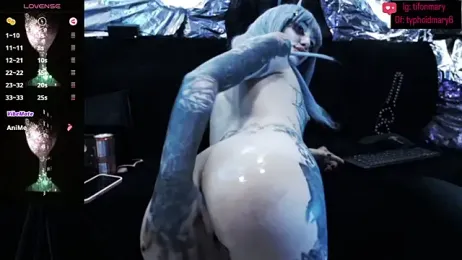 TyphoidMary stripchat stream image