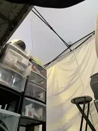 DaisyVibesss stripchat stream image