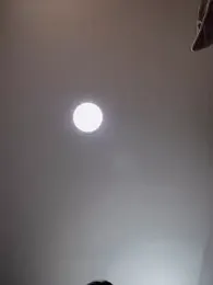 carolina__star stripchat stream image