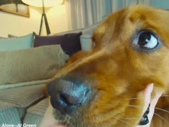 x_lily_x chaturbate stream image