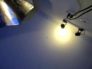 apotheosiss camsoda stream image