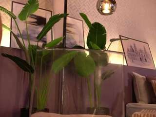 ellediane camsoda stream image