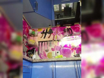 MS-86 bongacams stream image