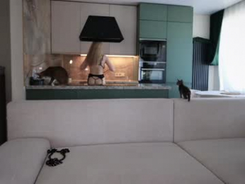 love_you_to123 chaturbate stream image