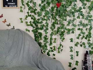 butterflybooty camsoda stream image