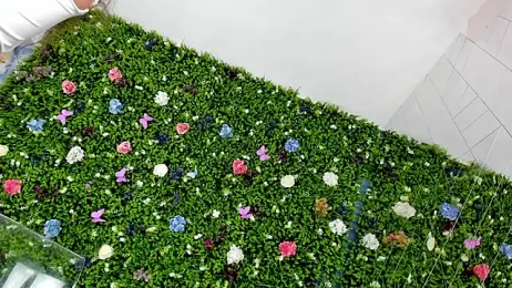 BabyAylin stripchat stream image