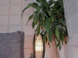 zhuyhong camsoda stream image