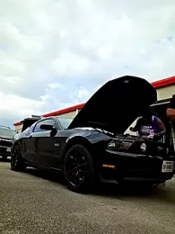 Strong_Bear89 stripchat stream image