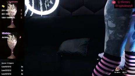 TyphoidMary stripchat stream image