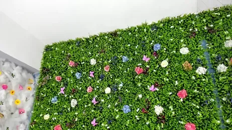 BabyAylin stripchat stream image