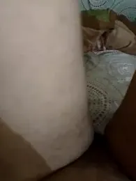 salmasixsi stripchat stream image