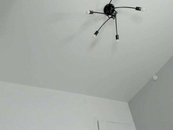 dolly-ll bongacams stream image