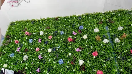 BabyAylin stripchat stream image