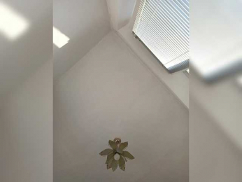 NeZabudka- bongacams stream image