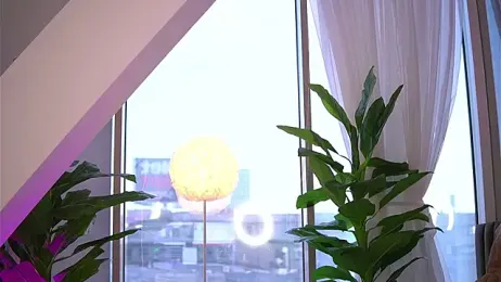 KaylaBray stripchat stream image