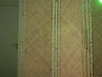 kriss0leoo chaturbate stream image